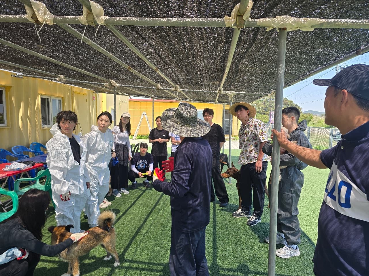 임보를 떠난 범이의 방문😊
