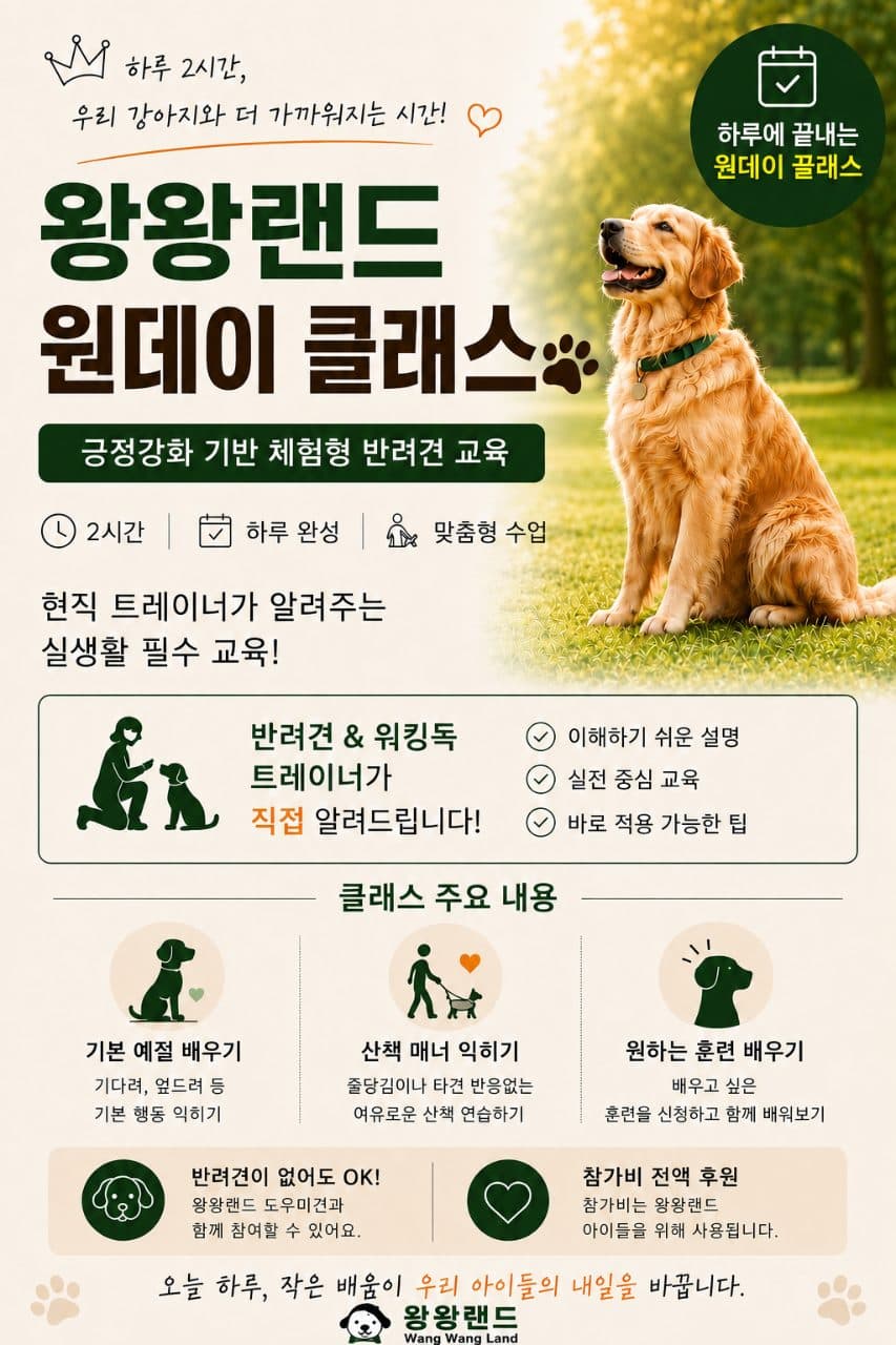 워킹독 트레이너 봉사자님의 프로그램 제안